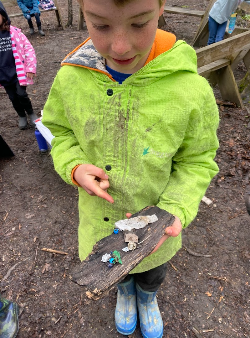 a kid shows odd many tiny pieces of trash displayed on a piece of wood a kid shows odd many tiny pieces of trash displayed on a piece of wood