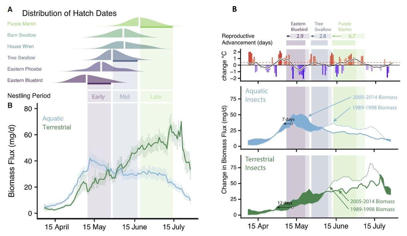 figure paper insect bird hatch data