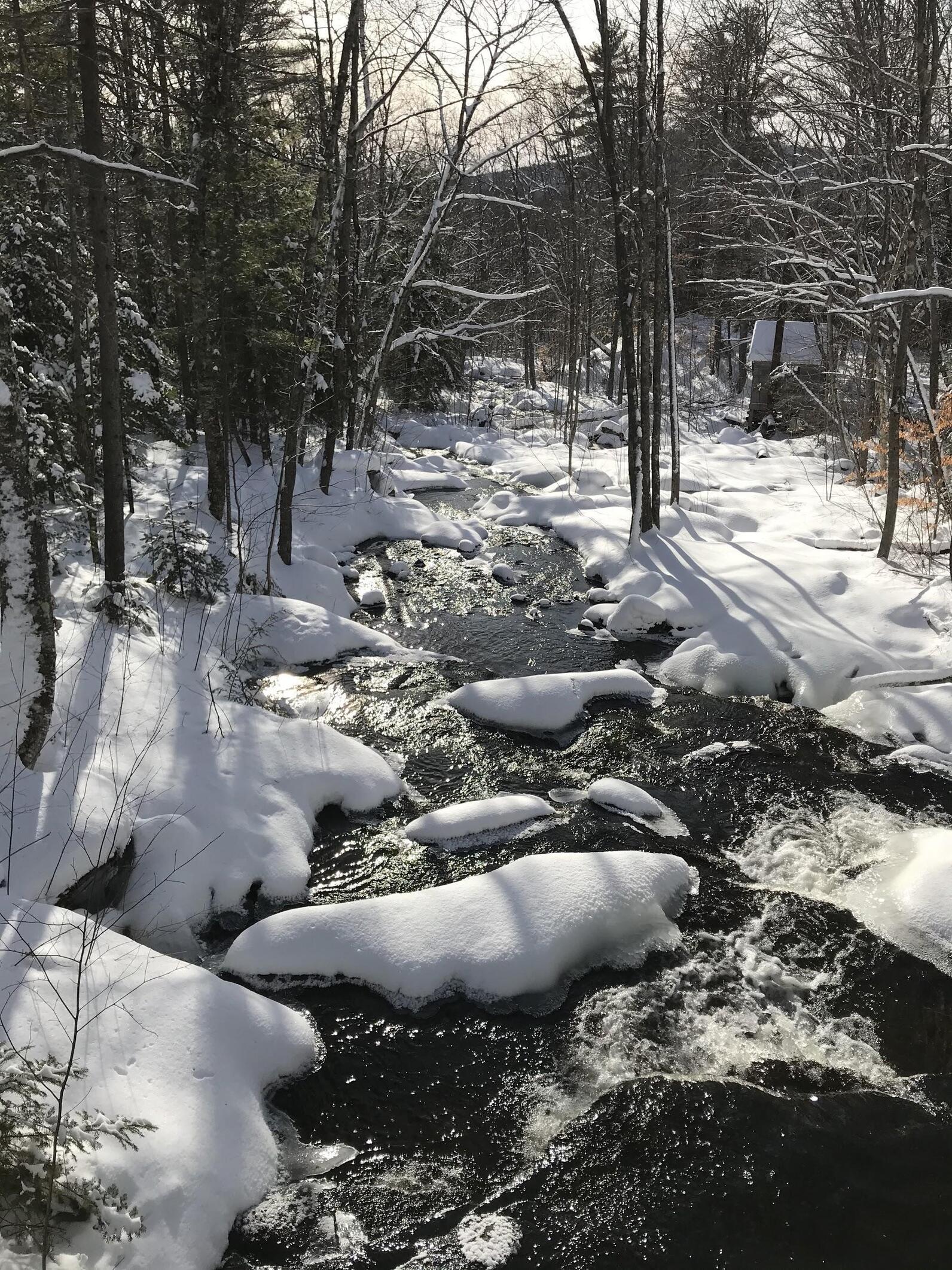 Snowy brook