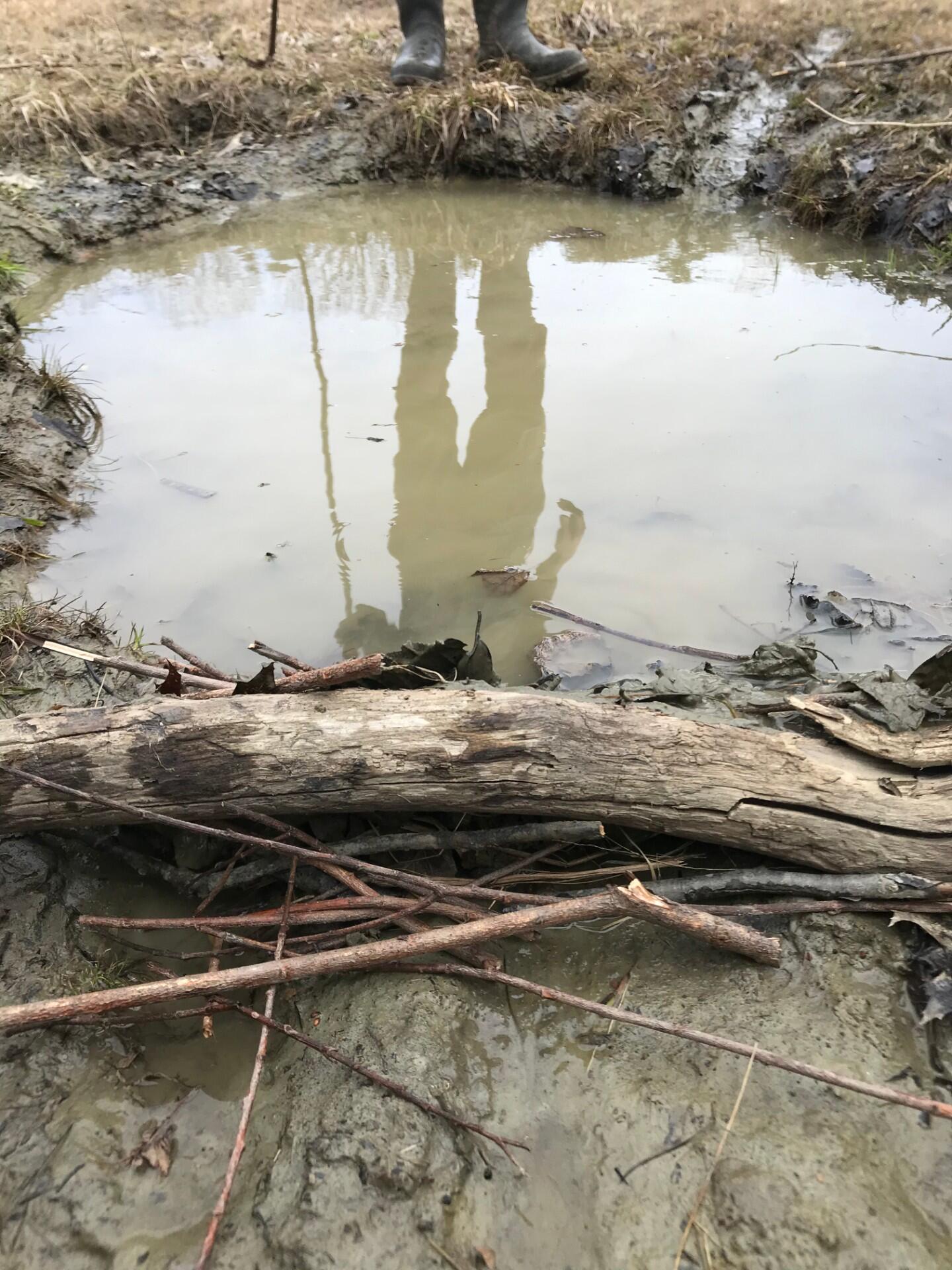 A person wearing black rubber boots stands behind a muddy puddle. A small, constructed dam of sticks and leaves is in the foreground. A reflection of the person is visible in the puddle.  