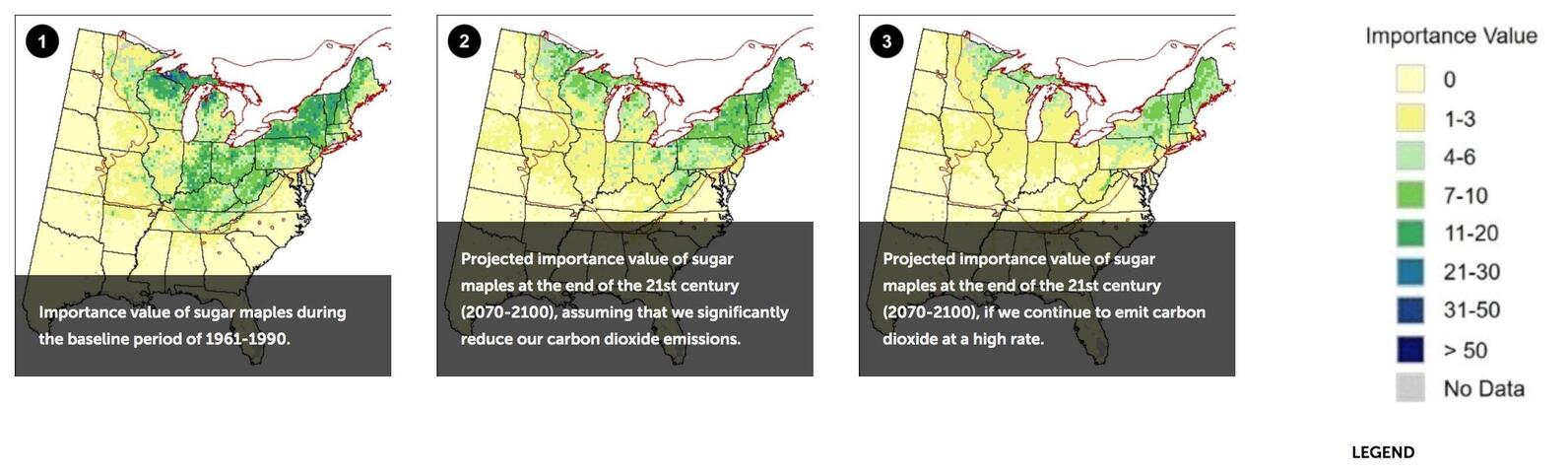 Sugar maple density map Sugar maple density map