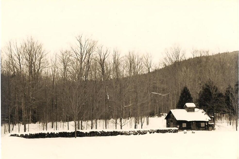 A black and white photo of the Audubon sugarhouse. A young sugarbush is growing behind it.