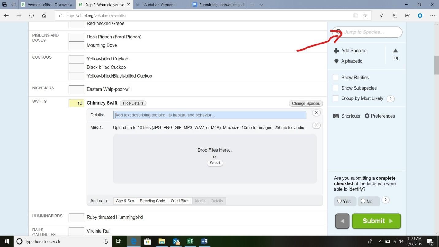 10 Easy Steps for Submitting Chimney Swift Surveys to Ebird | Audubon  Vermont