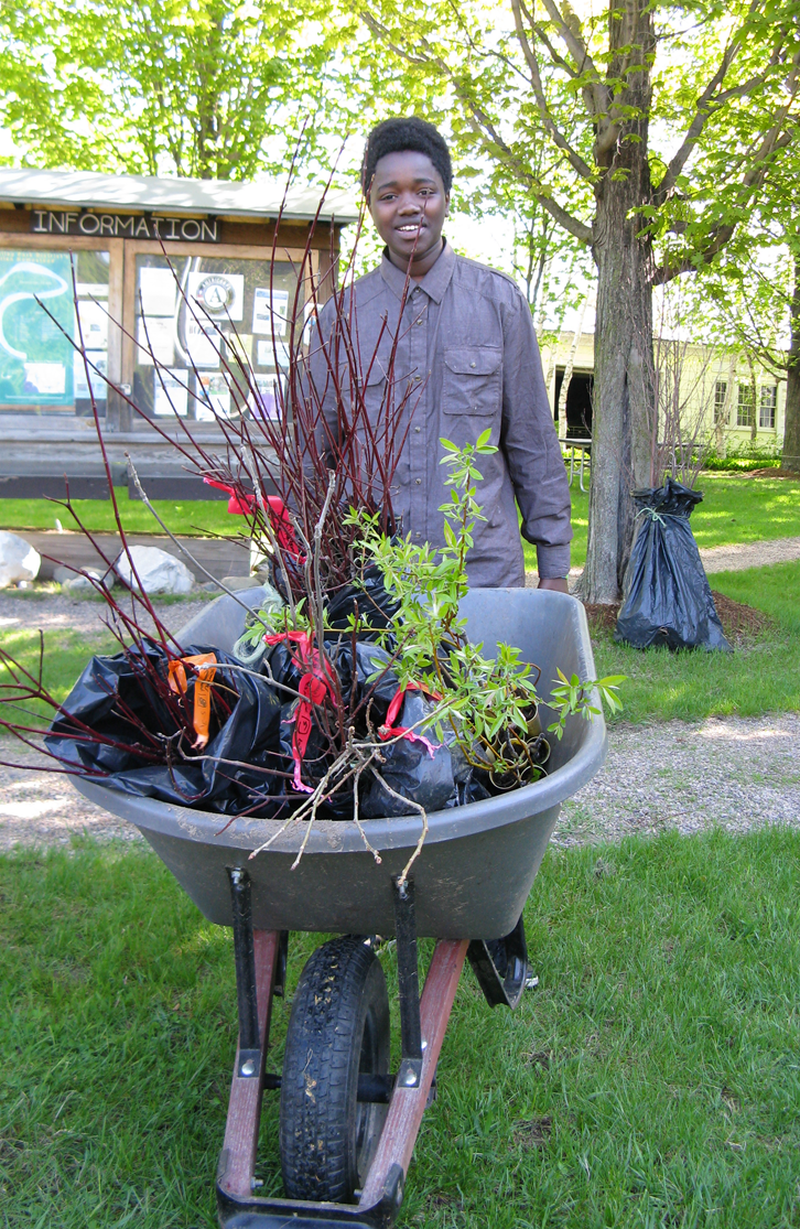 Tree Planting