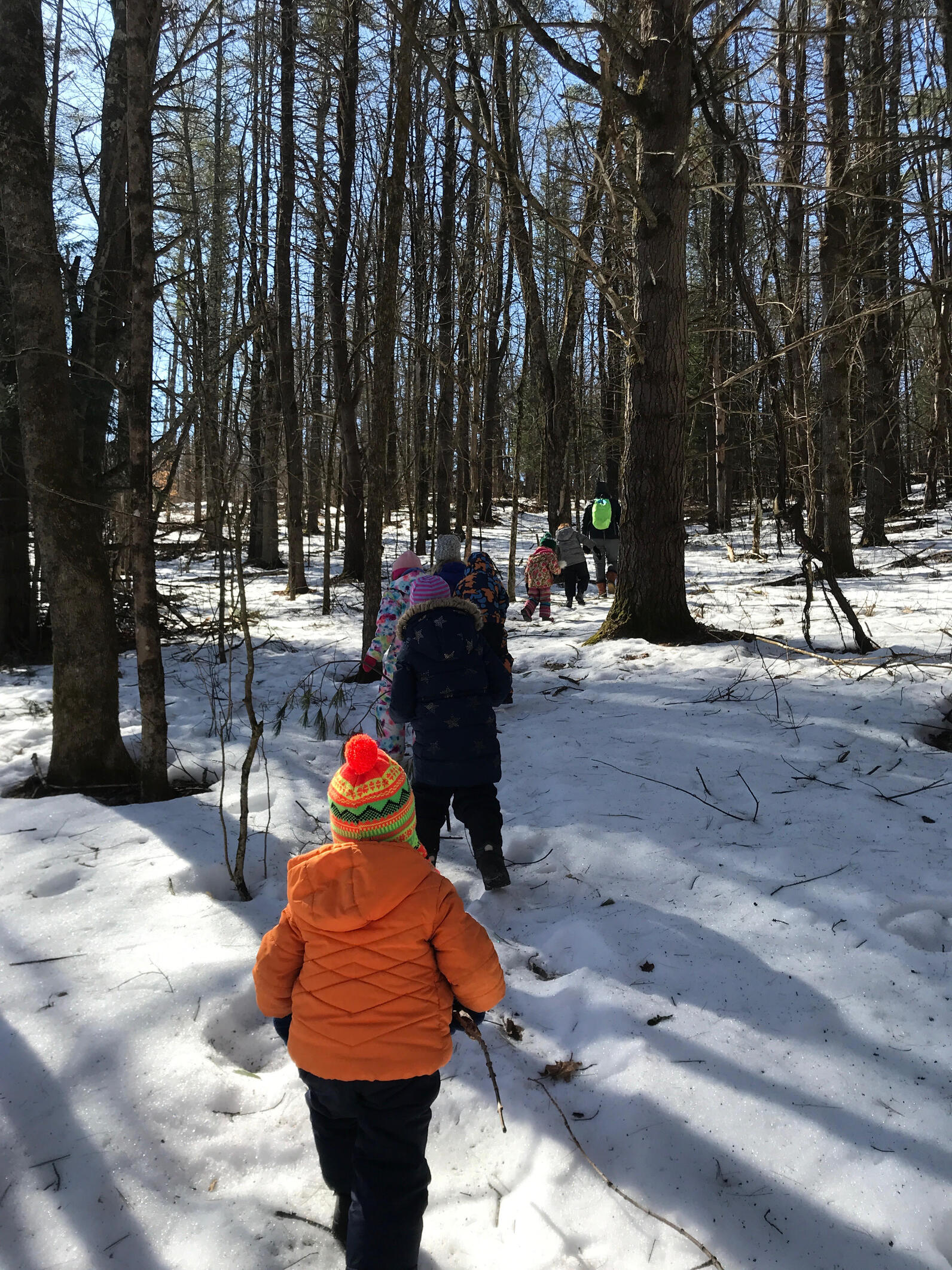 hiking the warbler trail