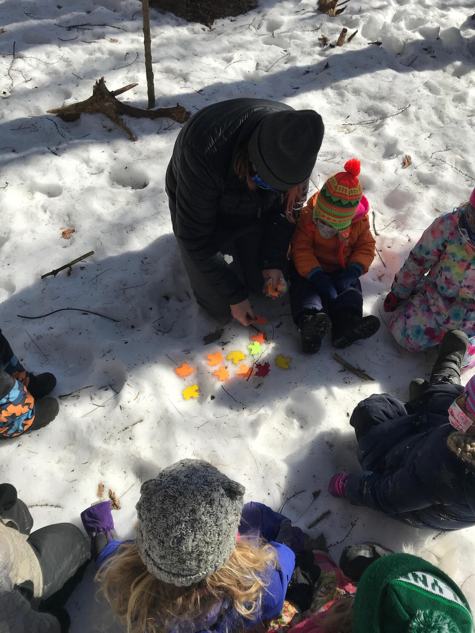 Counting our maple leaves