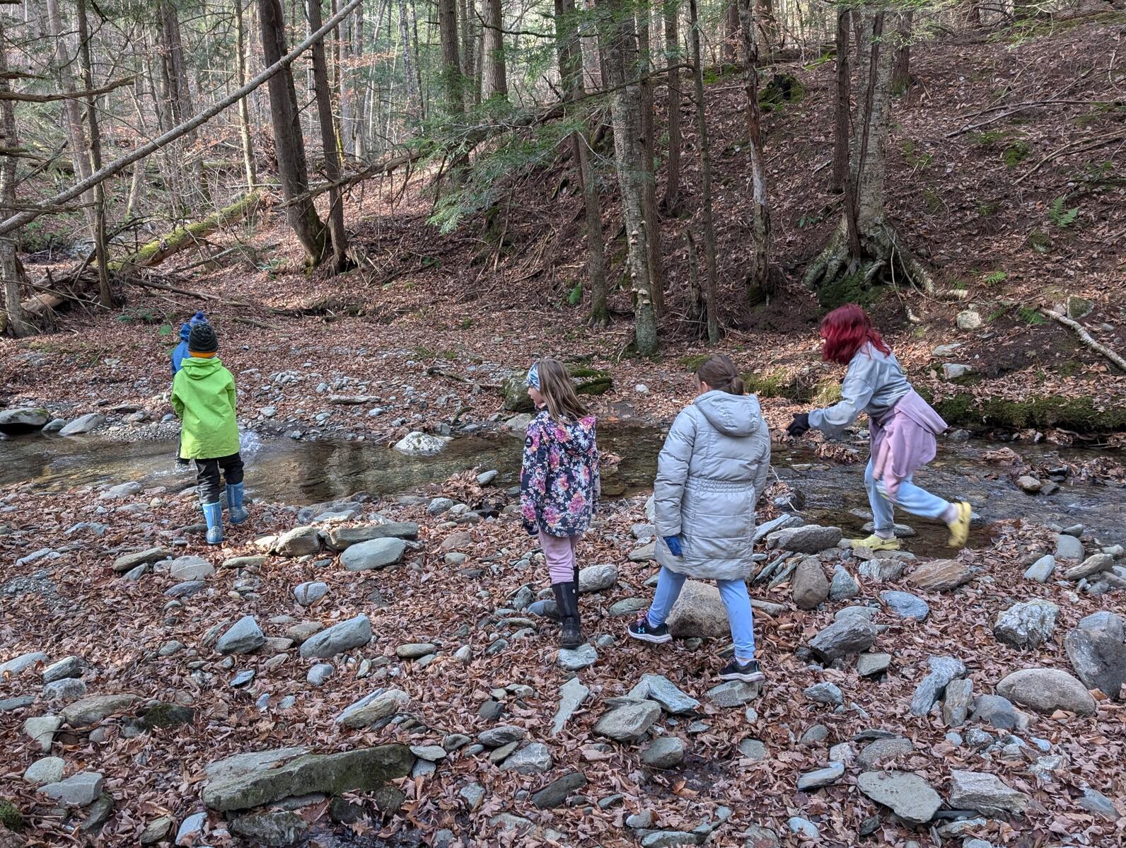 Several children walk along the rocky bank of a brook through a forest in late fall