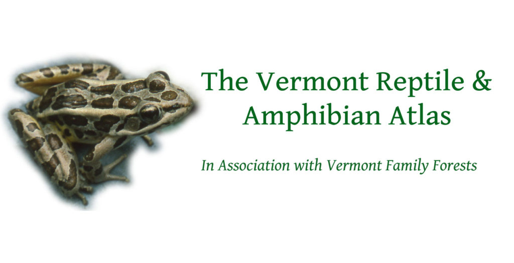 Vermont Reptile and Amphibian Atlas