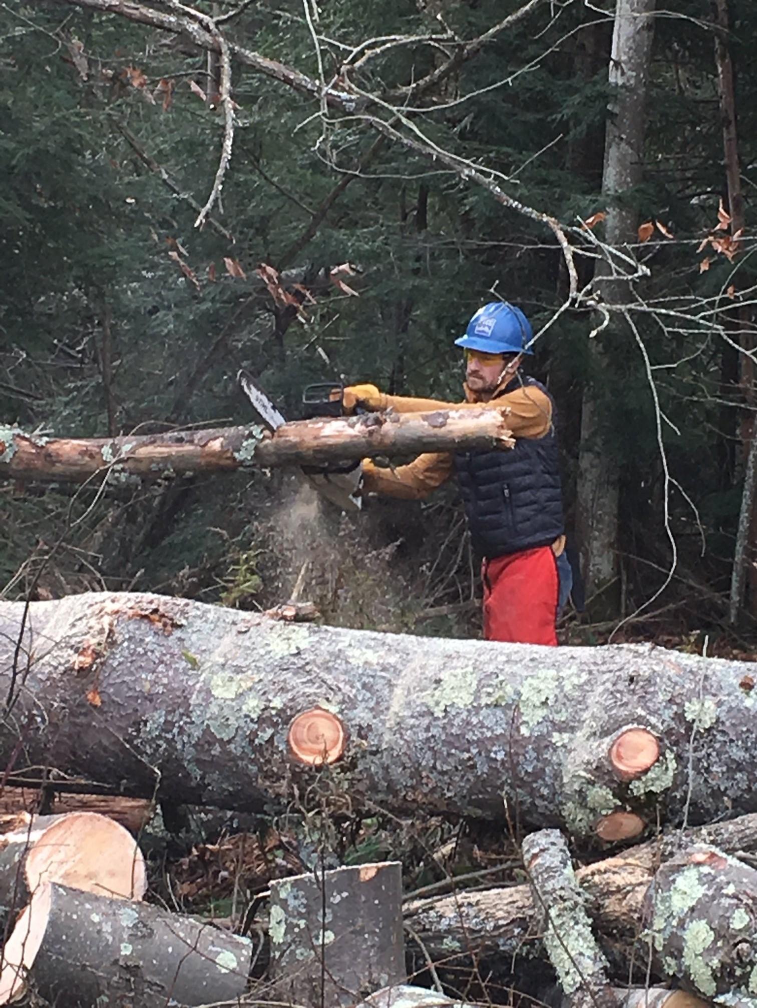 Wind Storm Recovery_Audubon Vermont