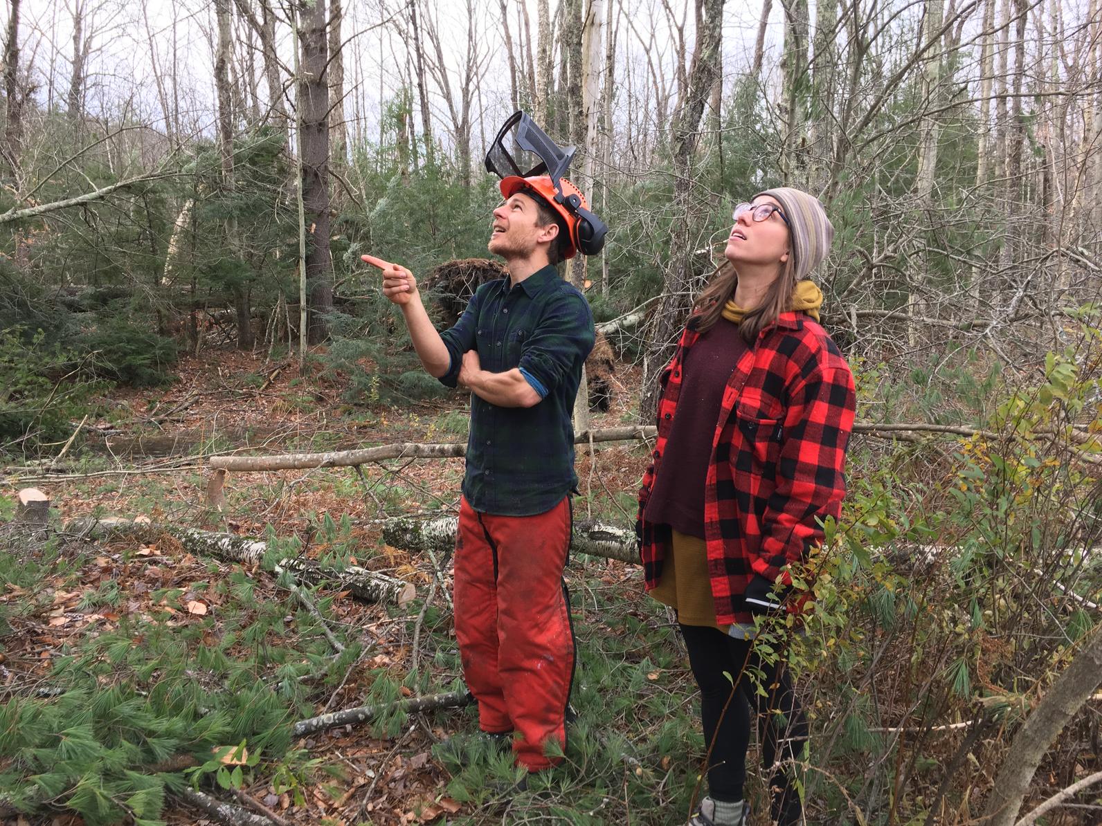 Wind Storm Recovery_Audubon Vermont