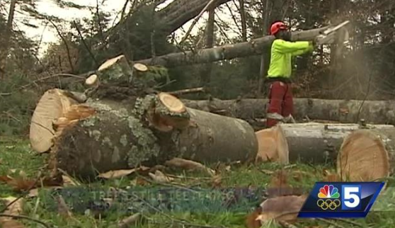 Wind Storm Recovery_Audubon Vermont