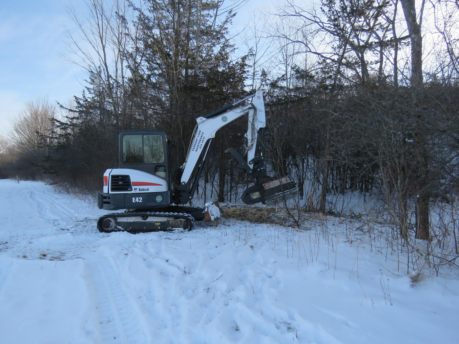 Grinding machine at work removing invasive shrubs. 