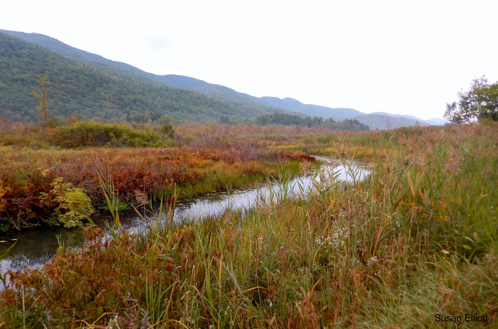 West Rutland Marsh