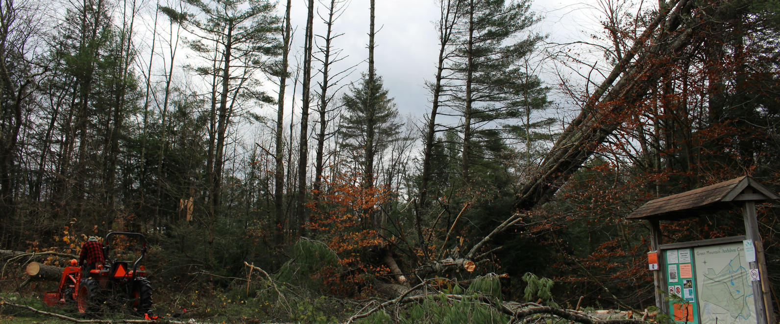 Wind Storm Recovery_Audubon Vermont