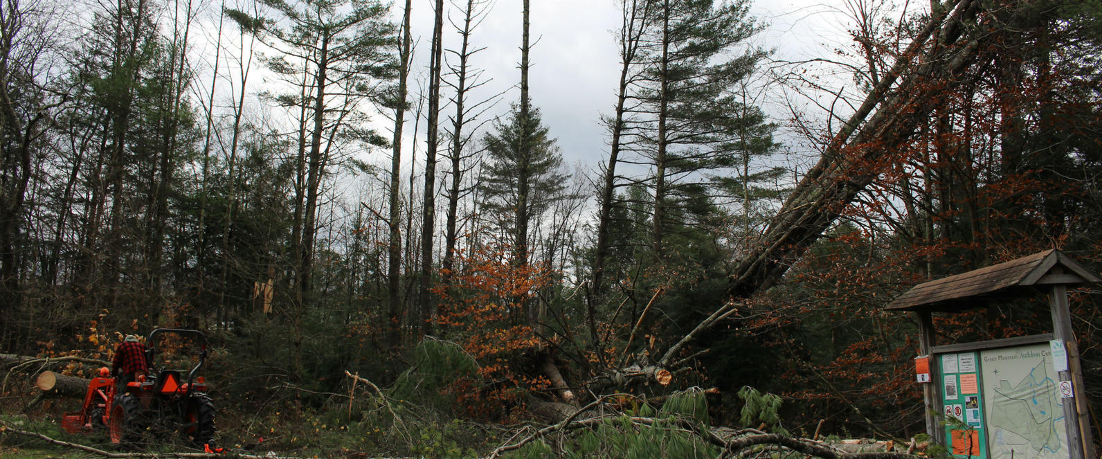 Wind Storm Recovery_Audubon Vermont Wind Storm Recovery_Audubon Vermont