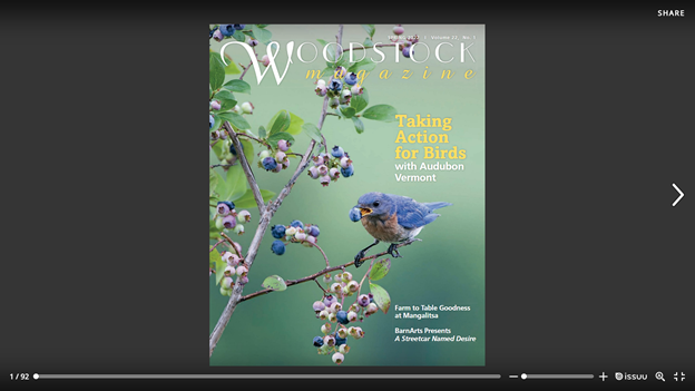 Woodstock Magazine cover Woodstock Magazine cover