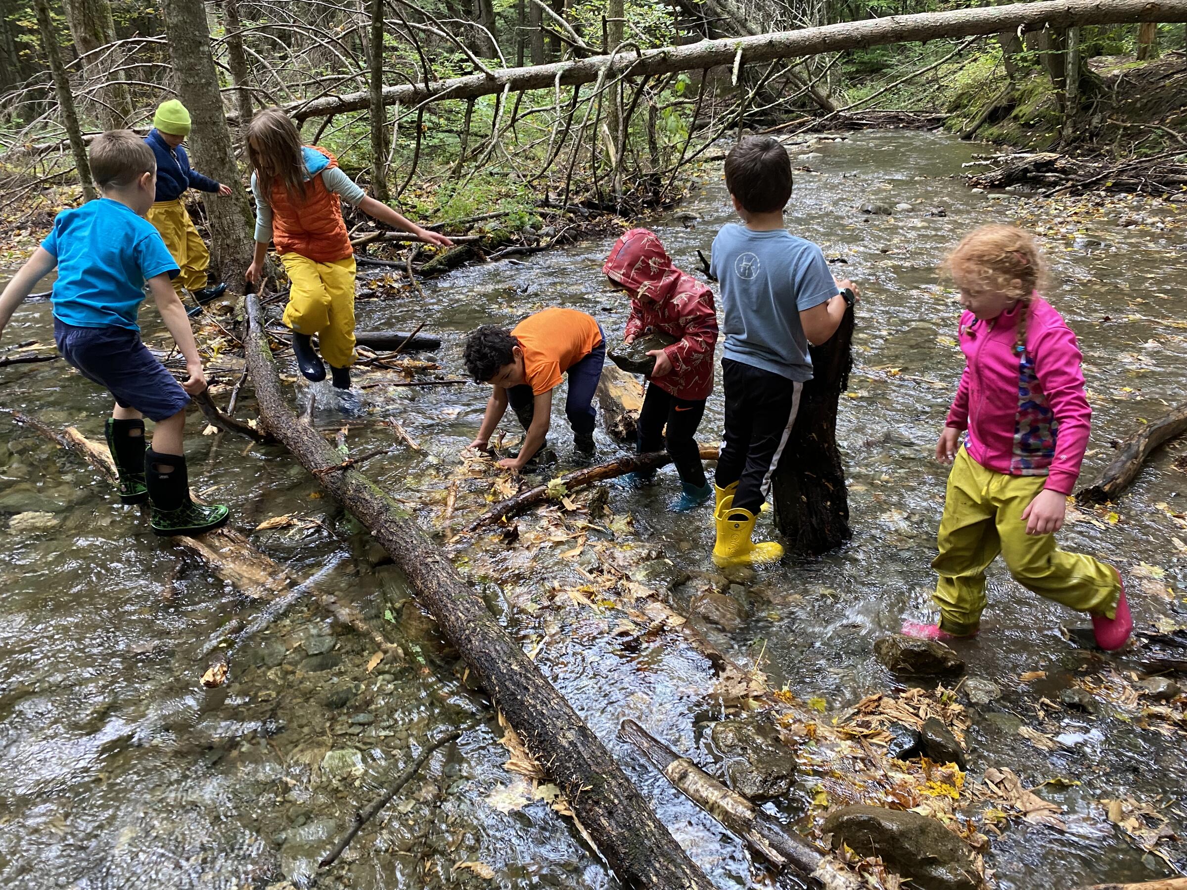 Building a dam at the brook