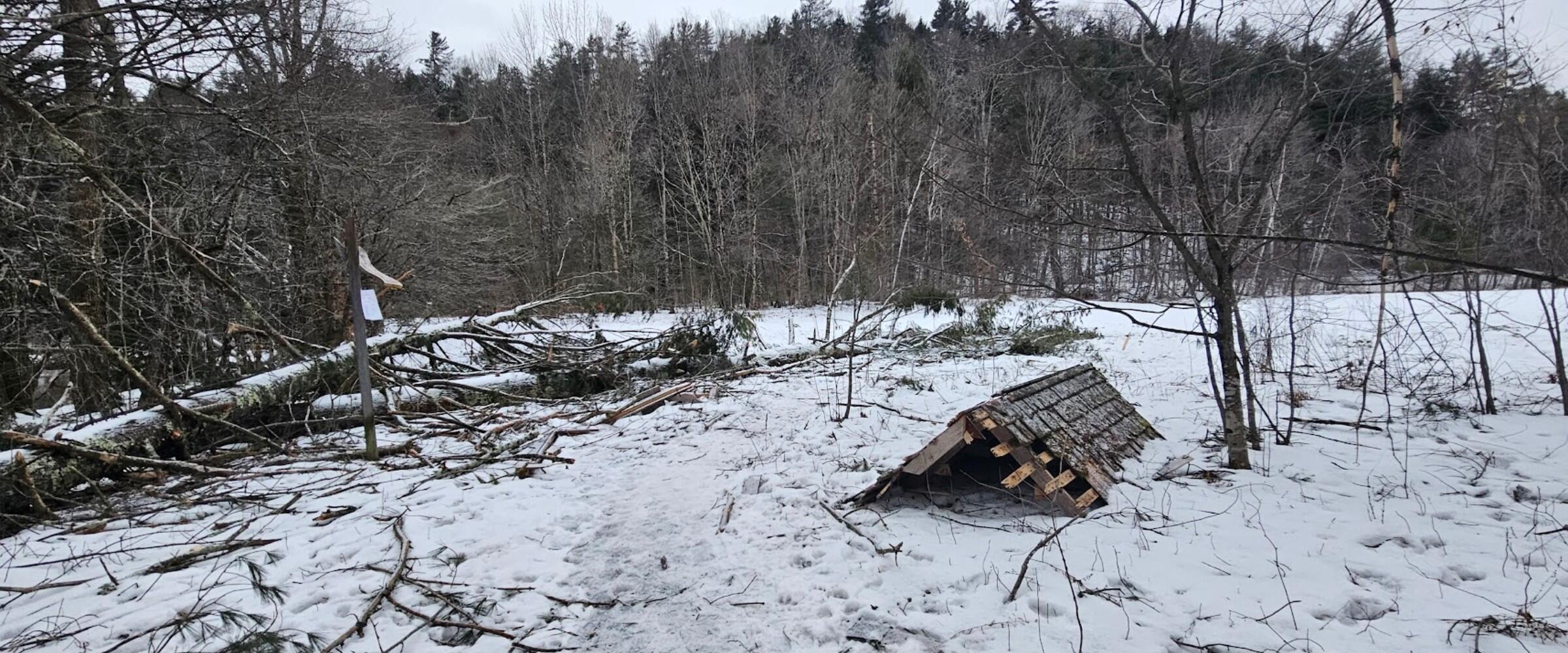 A landscape photo featuring two large downed pine trees and the remnants of a trail kiosk.