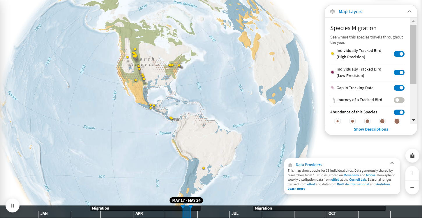 map of peregrine falcon migration routes from Migratory Bird Explorer tool