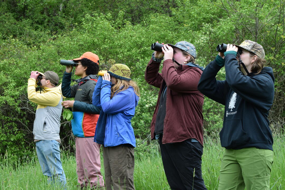 Staff looking through binoculars at birds