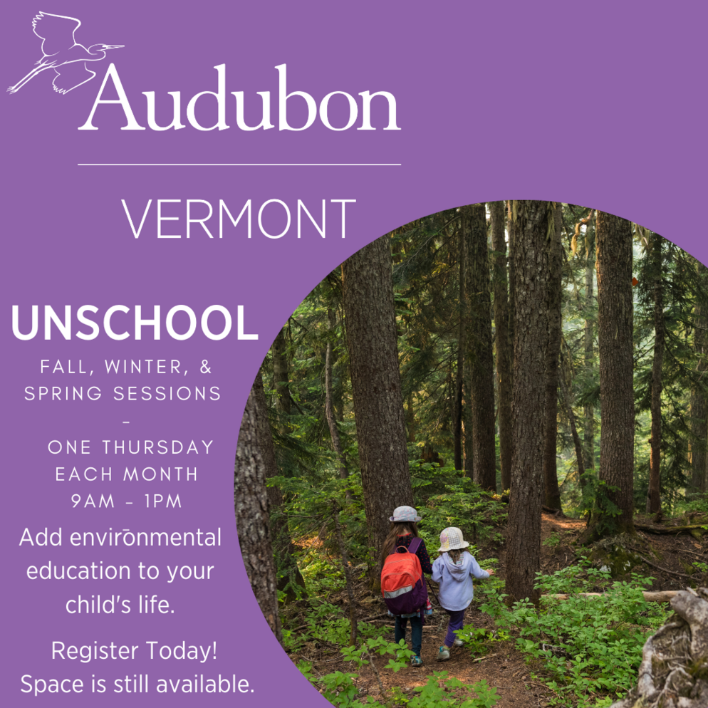 Homeschoolers! Join Us This Winter At Audubon | Audubon Vermont