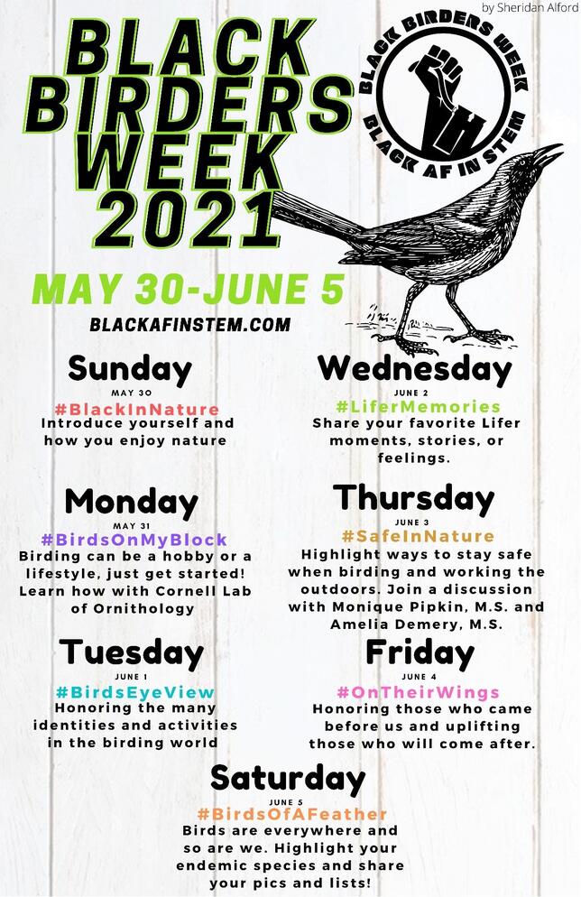 Black Birders Week 2021