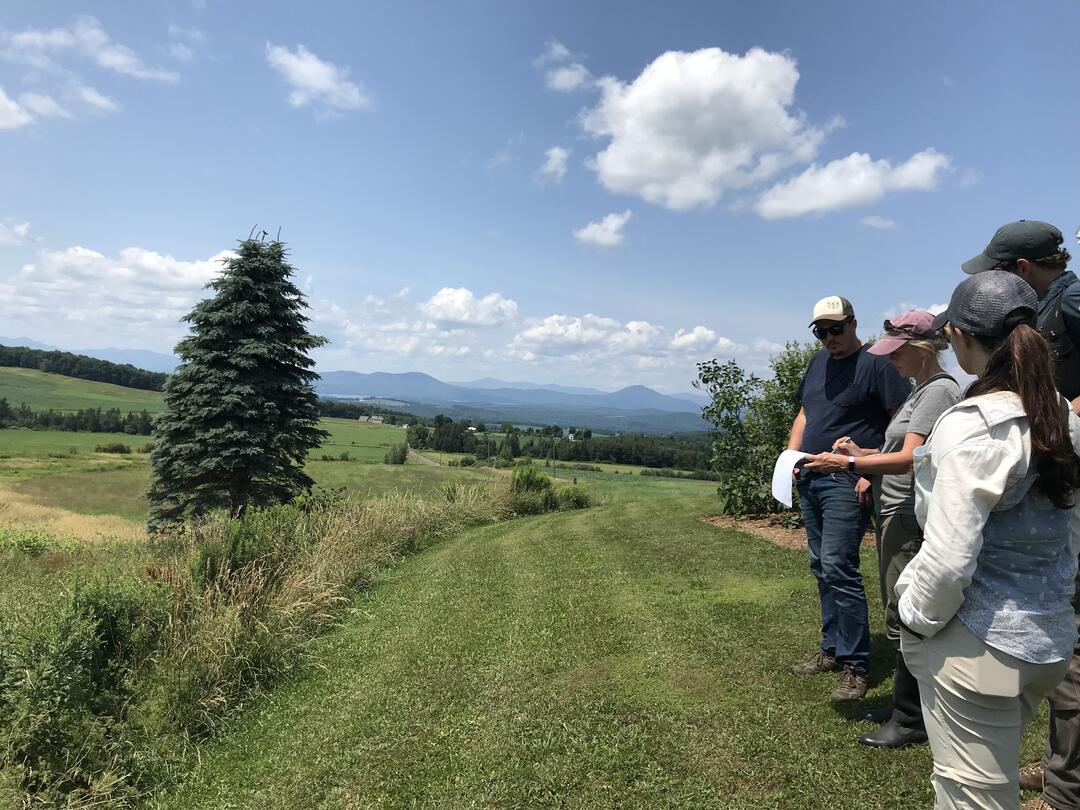 Conservation biologists and diary farmers find opportunities to create bird and bee friendly habitat on a dairy farm in Derby, Vermont. 