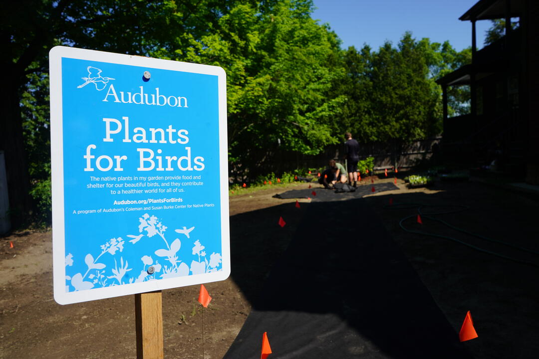 Bird-Friendly Planting Sign