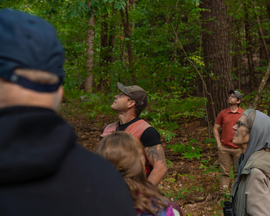 Ethan Tapper stands in the middle of a group of four people in the woods. Ethan and the guests are looking up towards the forest canopy.