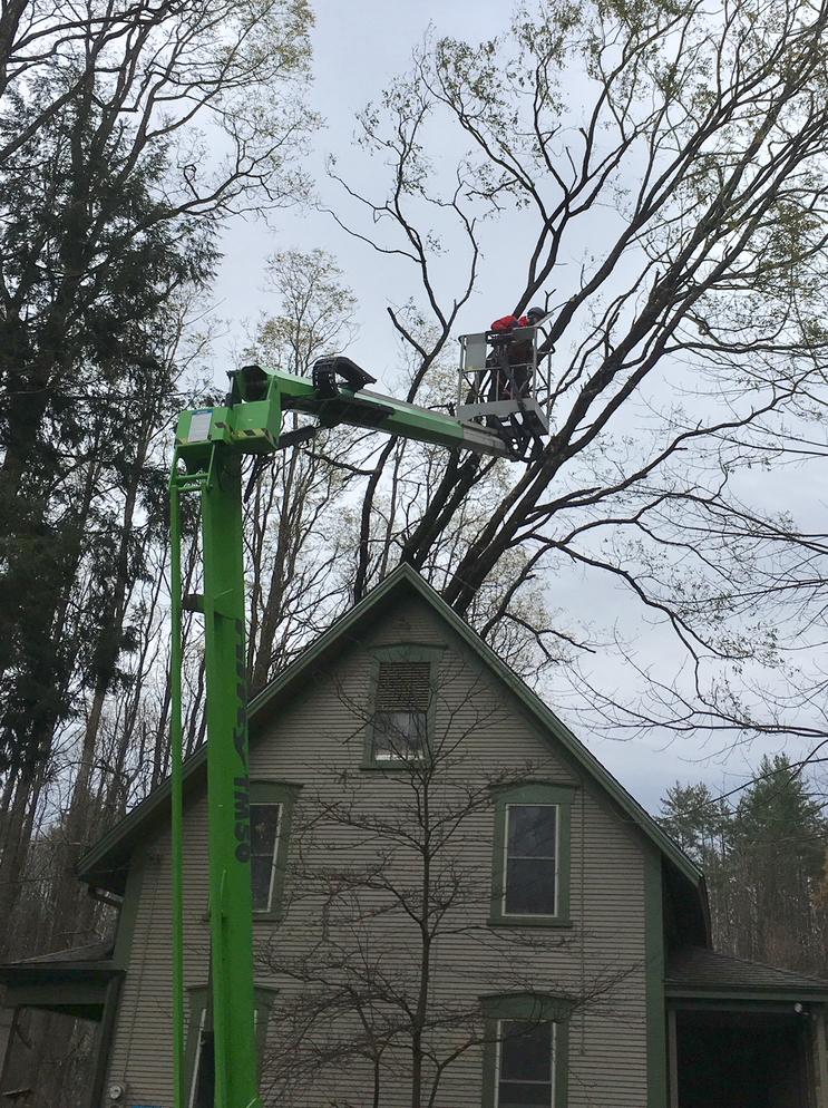Wind Storm Recovery Update Audubon Vermont