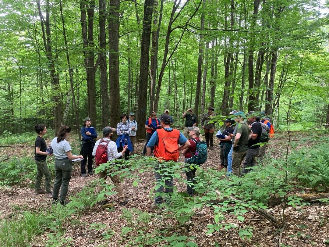 A group of people gathered around in a circle in the woods at a forestry workshop.