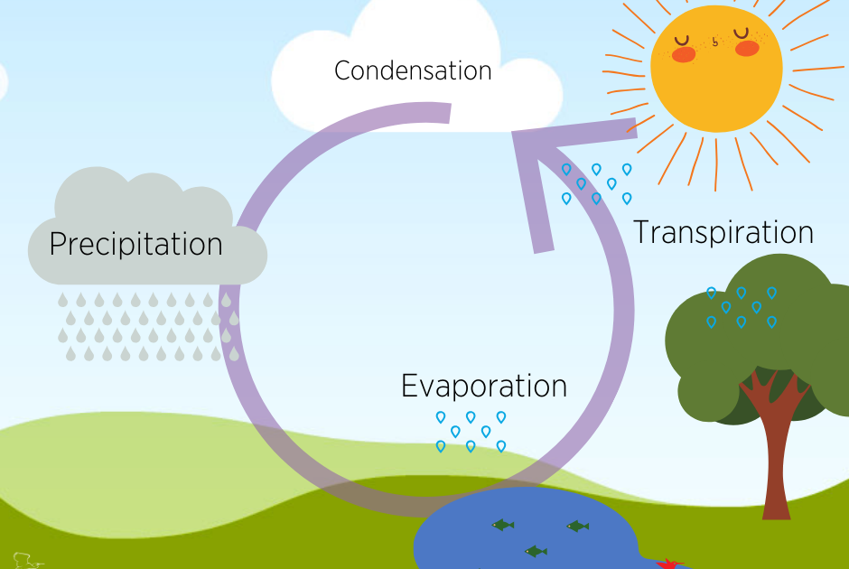 Can Evaporated Water can-evaporated-water